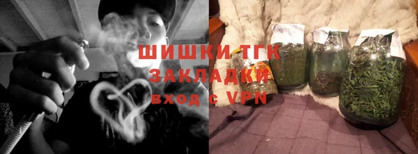 бошки Ельня