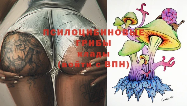 бошки Ельня