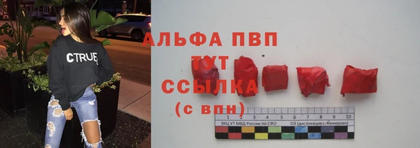 бошки Ельня