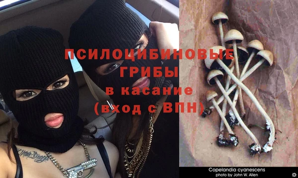мяу мяу кристалл Елабуга