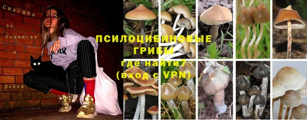 бошки Ельня