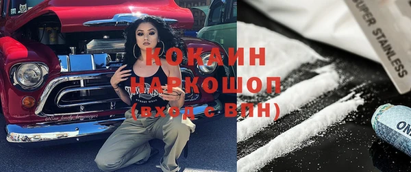 бошки Ельня