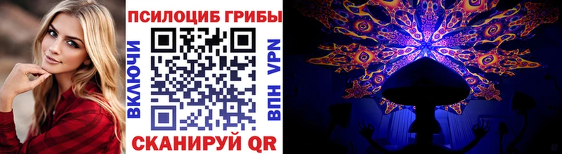 хочу наркоту  Карасук  Псилоцибиновые грибы Cubensis 